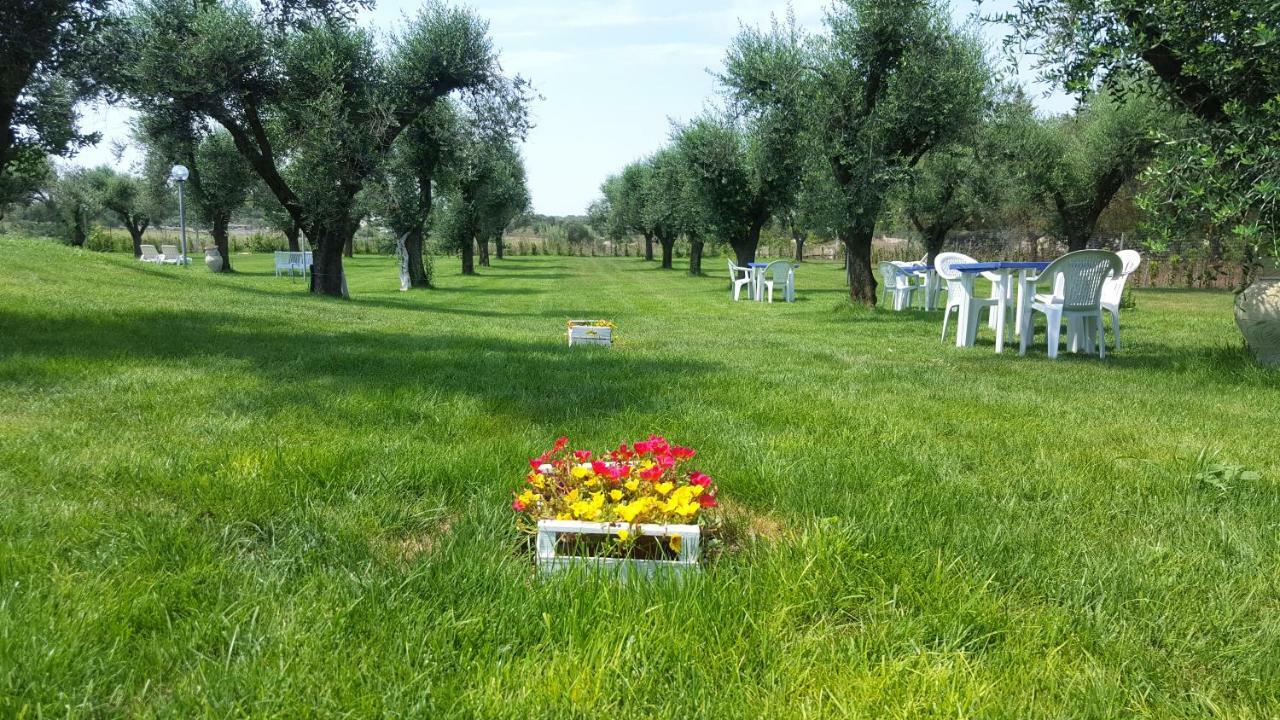 Agriturismo La Rondine オートラント エクステリア 写真